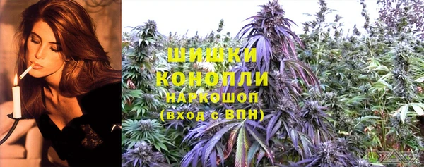 PSILOCYBIN Богородицк