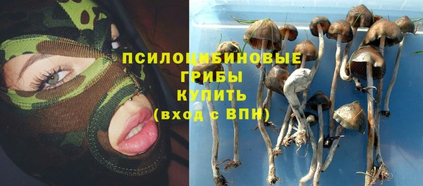 PSILOCYBIN Богородицк